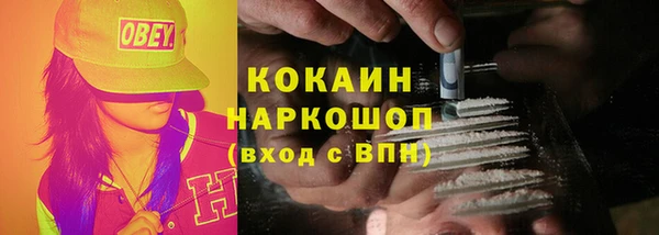 гашик Алексин