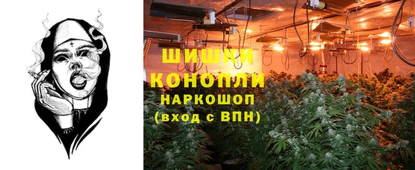 PSILOCYBIN Ельня
