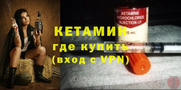 гашик Алексин