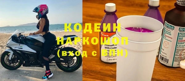 гашик Алексин