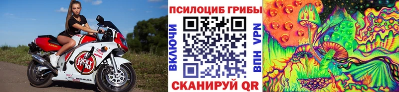 Псилоцибиновые грибы Magic Shrooms  Пошехонье 